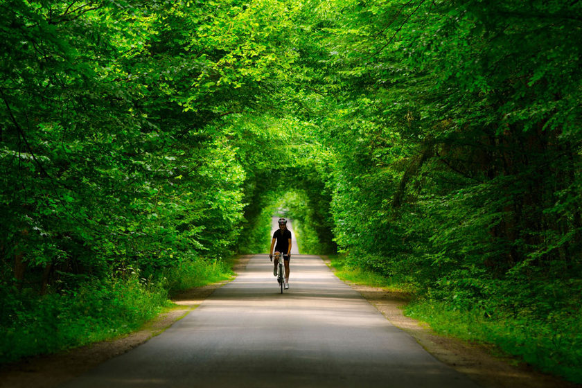 Rennradfahrer im Wald im Rahmne der Radsporttage 2024 im Erlebnishotel Colosseo in Rust