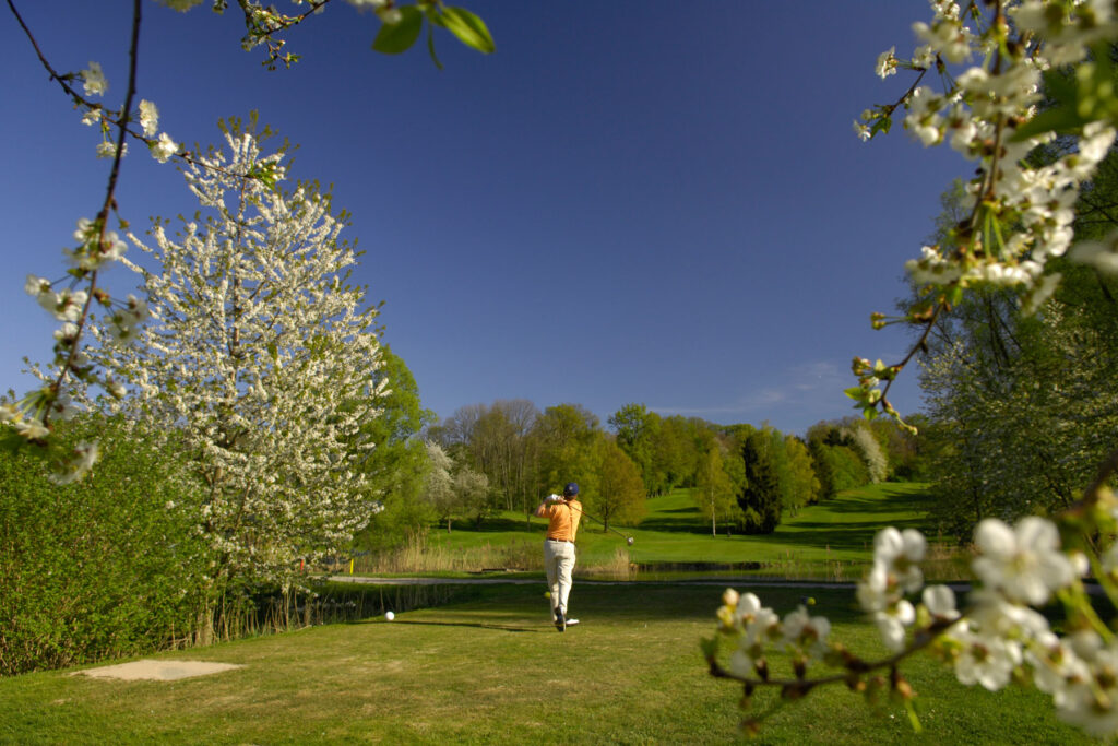 Ein Golfer in gelbem Hemd und weißer Hose schwingt seinen Schläger auf einem üppig grünen Golfplatz, umgeben von blühenden Bäumen und strahlend blauem Himmel, wobei blühende Zweige die Szene einrahmen.
