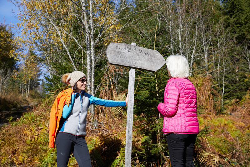 Hotel-Grüner-Baum-Wanderweg