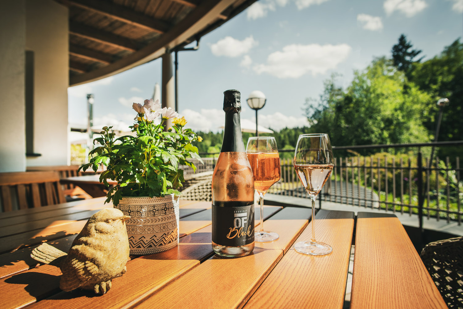 Eine Flasche Sekt und zwei Gläser stehen auf einem Holztisch im Freien neben einer Topfpflanze und einer kleinen Vogelfigur, im Hintergrund Grünpflanzen und Bäume unter einem sonnigen Himmel.