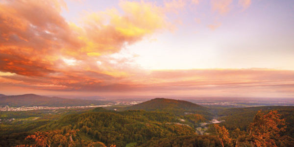 Eine malerische Aussicht auf sanfte grüne Hügel, perfekt für Wandern und Wellness, bedeckt mit Bäumen unter einem dramatischen Himmel mit orangefarbenen und rosa Wolken bei Sonnenuntergang. Die Landschaft dehnt sich in die Ferne aus und verschmilzt mit dem Horizont.