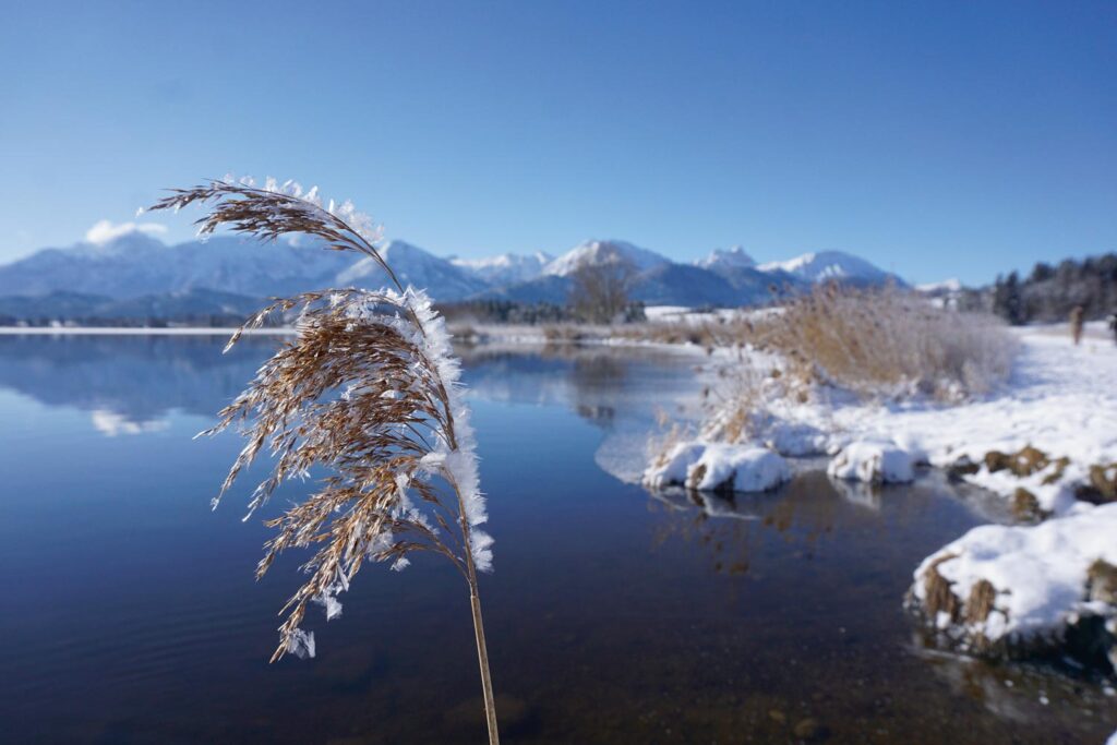 Winterliche Landschaftsansicht vom Hopfensee im Allgäu