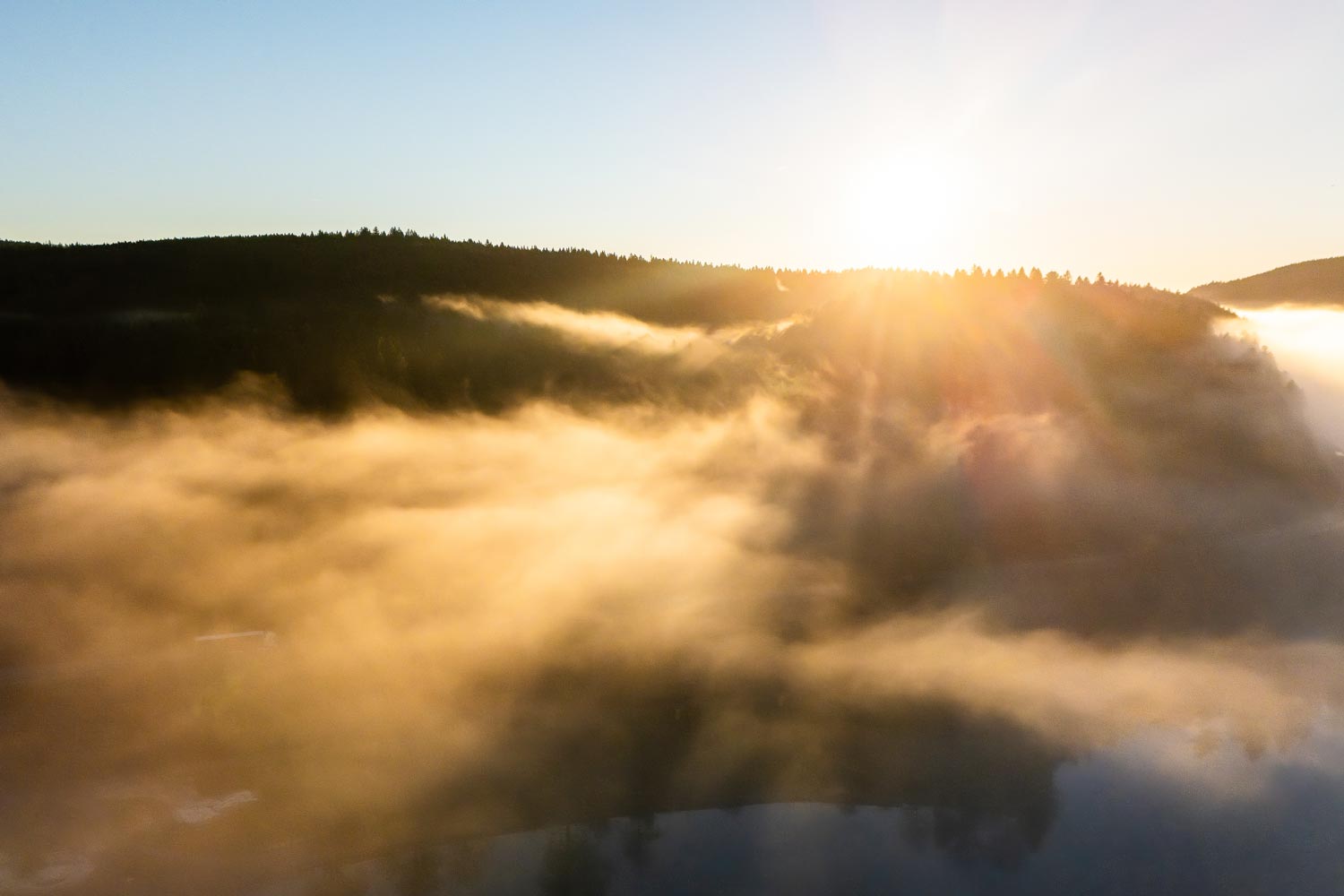 Sonnenaufgang über einem bewaldeten Hügel mit goldenem Sonnenlicht, das durch den dichten Nebel über einem spiegelnden Gewässer fällt und eine ruhige und stimmungsvolle Szene schafft.