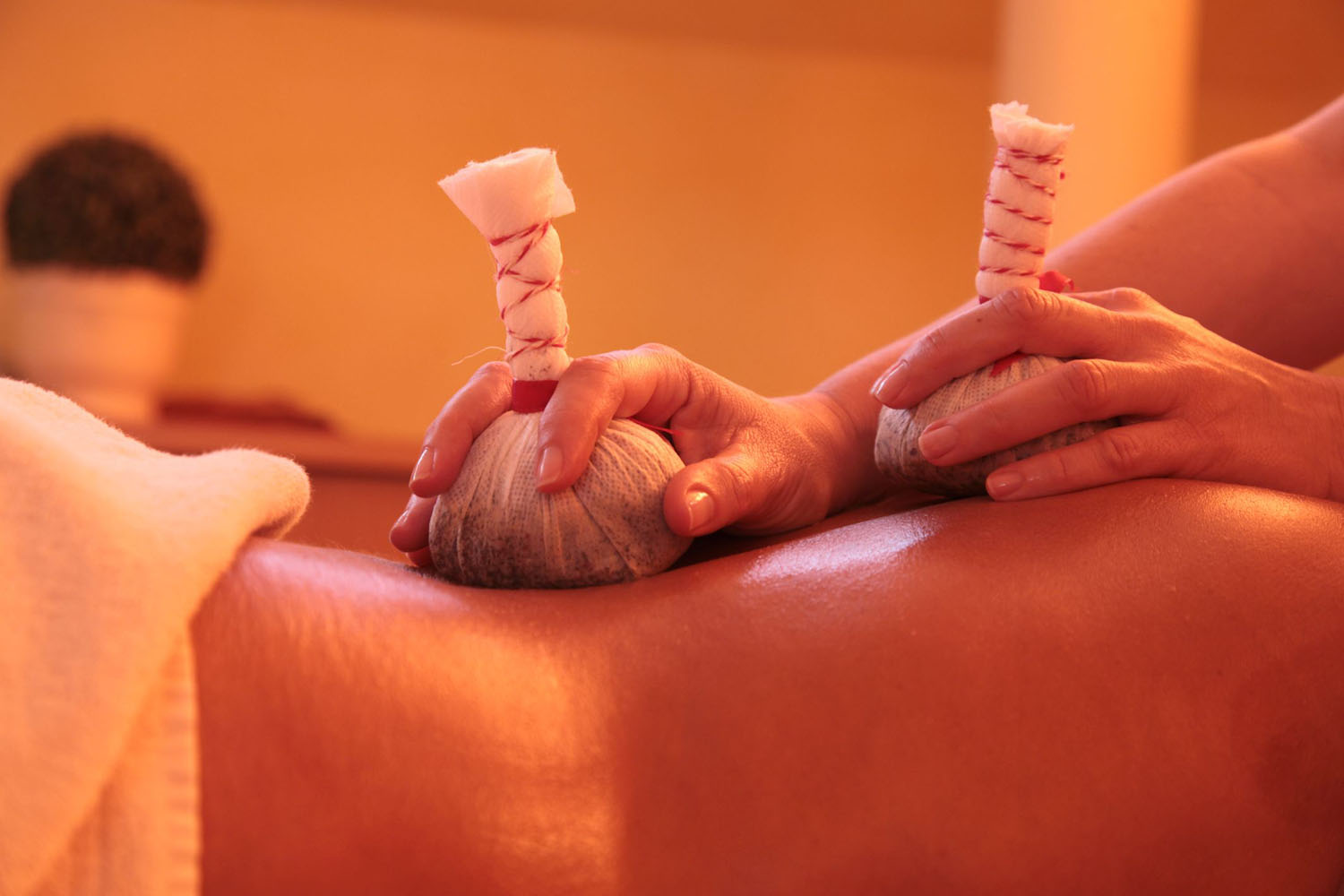 Eine Person erhält eine Kräuterkompressenmassage, bei der zwei Hände Kräuterbeutel halten und diese sanft auf den nackten Rücken einer entspannten Person in einer warmen, sanft beleuchteten Umgebung drücken.