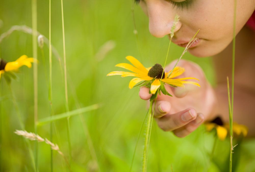 Eine Person hält eine gelbe Blume auf einer Wiese sanft in der Hand und riecht daran, während im Hintergrund sanfte Grün- und Gelbtöne zu sehen sind. Nur die untere Hälfte ihres Gesichts und ihre Hand sind zu sehen.