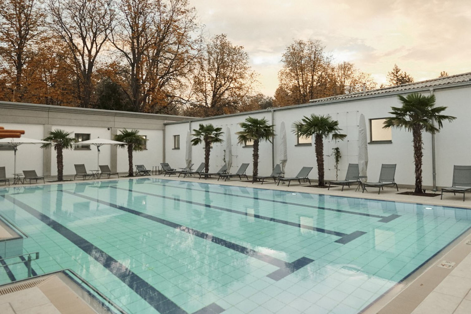 Ein Freibad mit klarem Wasser, umgeben von Palmen und Liegestühlen. Weiße Gebäudewände und herbstlich gefärbte Bäume umrahmen den Poolbereich unter einem bewölkten Himmel.